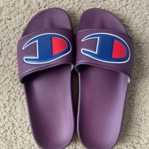 Champion Berry Logo Slide